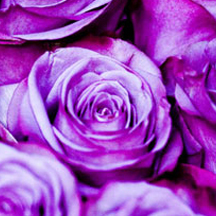 激活企业基因的催收短信电话轰炸机